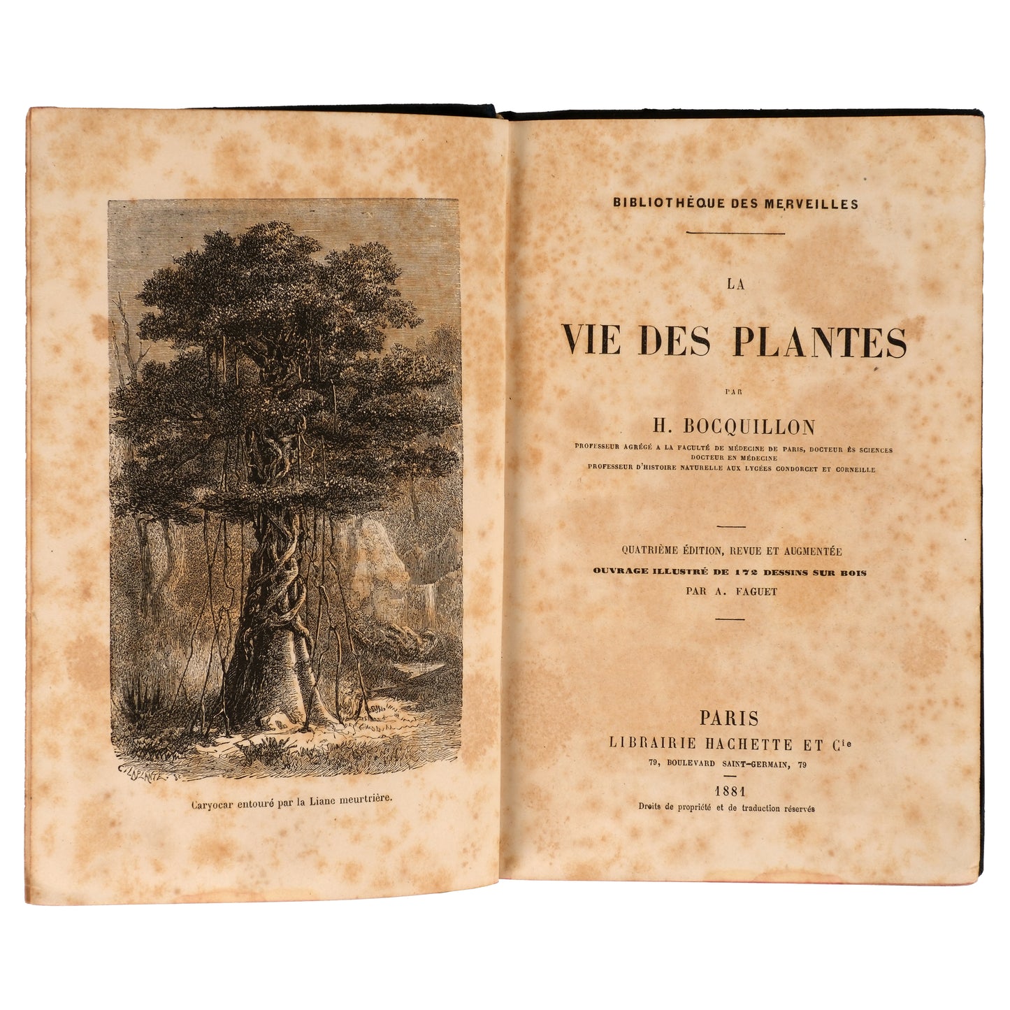 La Vie des Plantes 1881 — Henri Bocquillon, Hachette et Cie, Paris