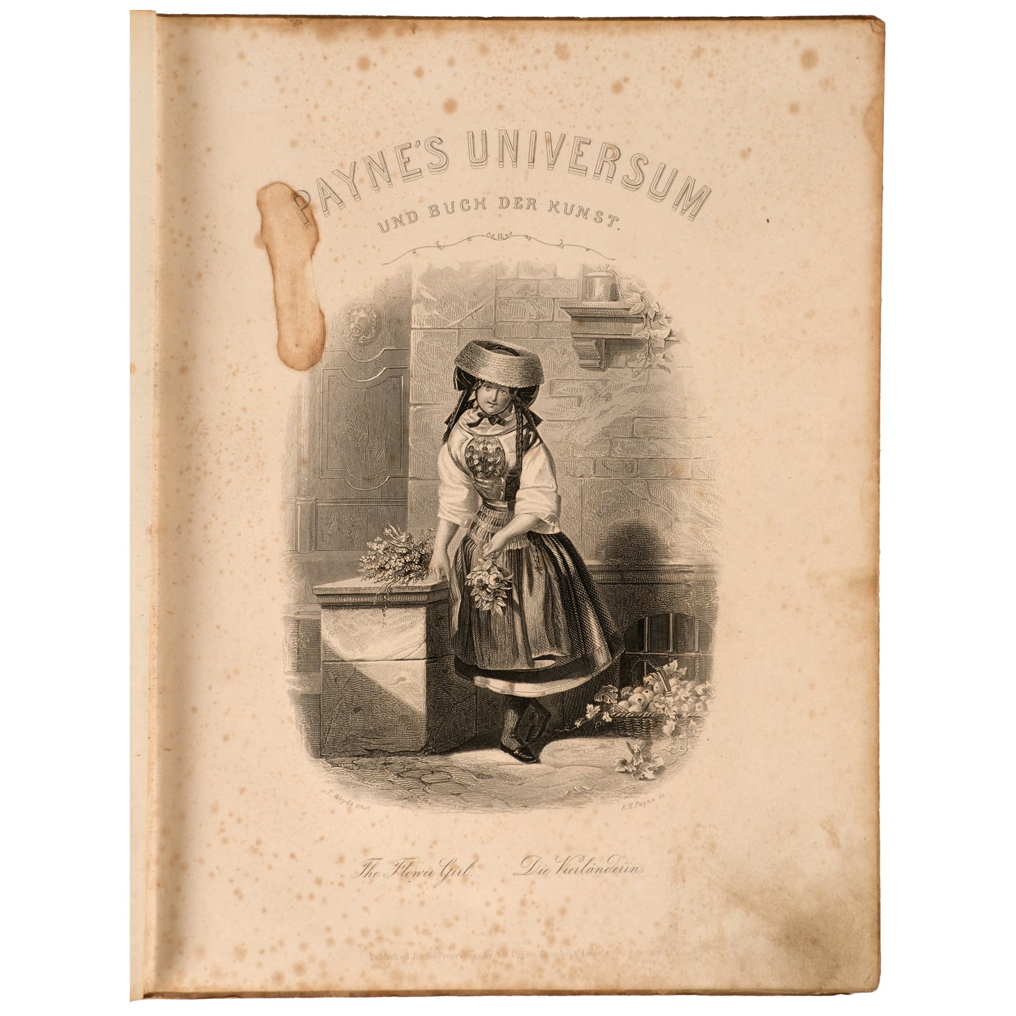 Payne's Universum und Buch der Kunst — Cilt 2 ca. 1855