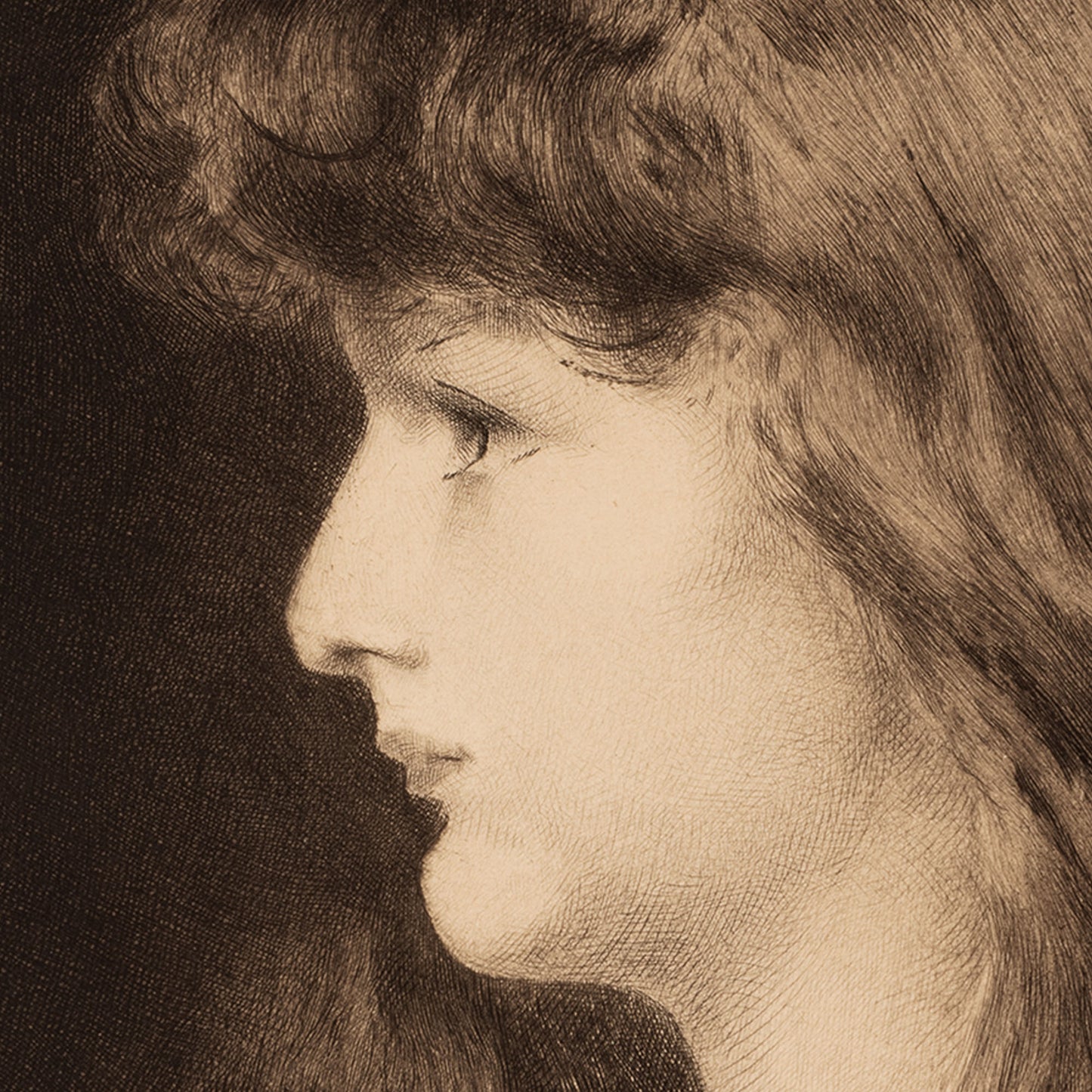 Sperata 1888 — Fernand Desmoulin'in eau-forte'u, Henner'den