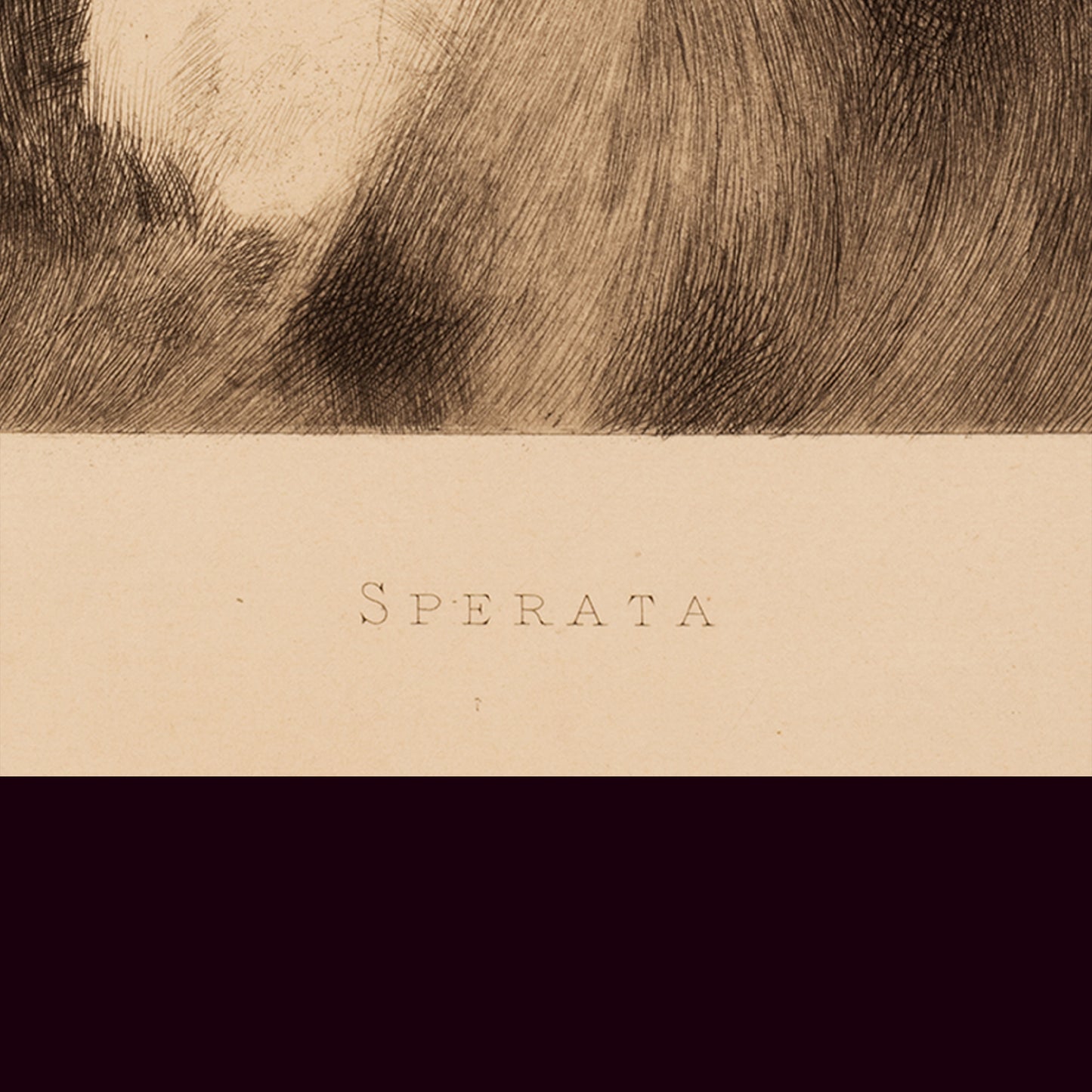 Sperata 1888 — Fernand Desmoulin'in eau-forte'u, Henner'den