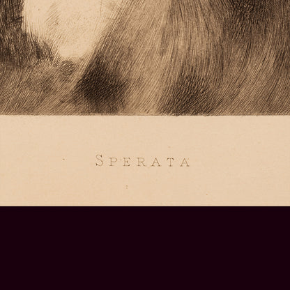 Sperata 1888 — Fernand Desmoulin'in eau-forte'u, Henner'den