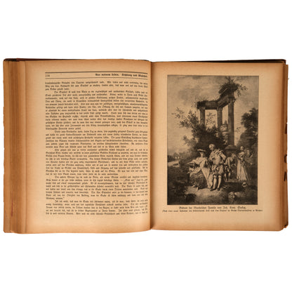 Wolfgang Von Goethe, Aus meinem Leben: Dichtung und Wahrheit, 1903, Hermann Seemann