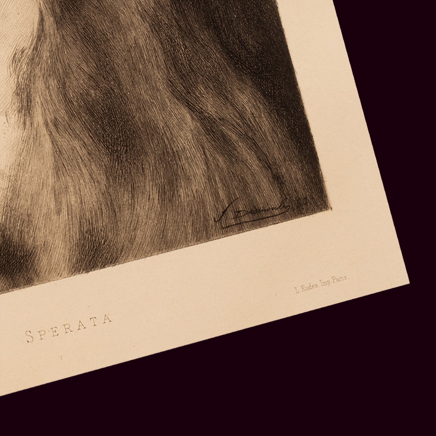 Sperata 1888 — Fernand Desmoulin'in eau-forte'u, Henner'den