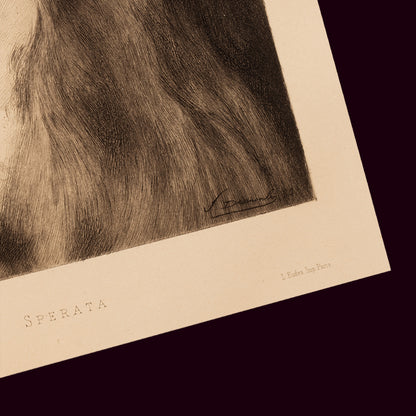 Sperata 1888 — Fernand Desmoulin'in eau-forte'u, Henner'den